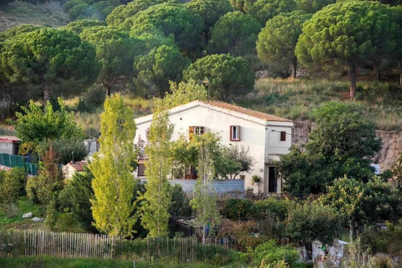 Gasthaus Masia Can Tramontana Tiana Exterior foto
